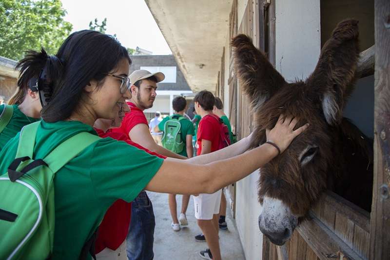 4 Produção animal 3Tobias