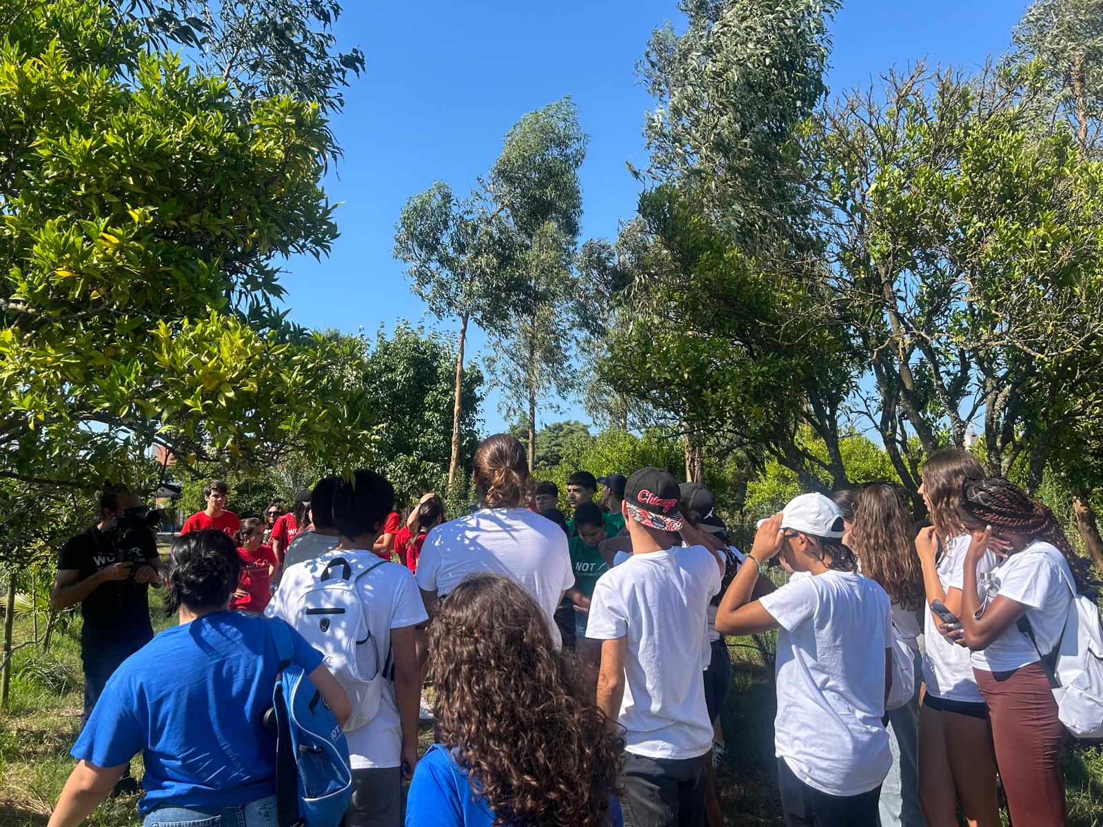 WhatsApp Image 2024 07 02 at 19.51.33