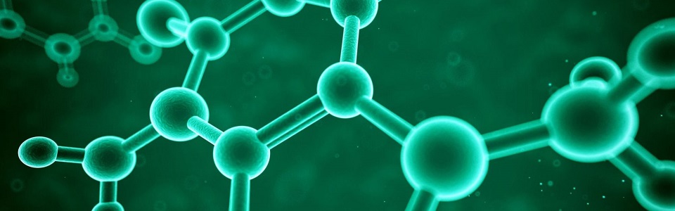 Politécnico da Guarda lança licenciatura em biotecnologia medicinal 02