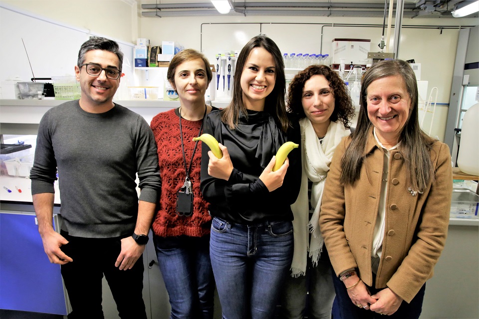 Os investigadores Bruno Henriques Cláudia Lopes Elaine Fabre Paula Fijpg
