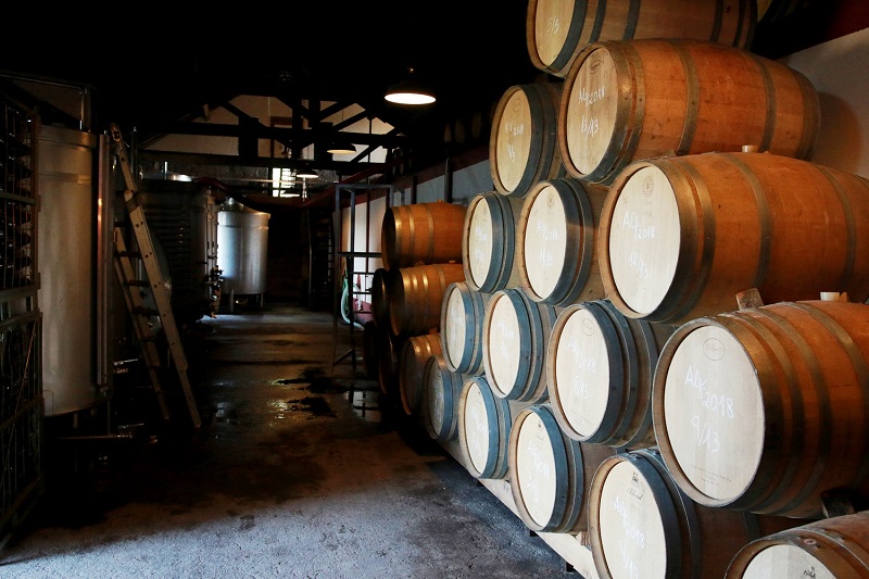 Seminário Enoturismo