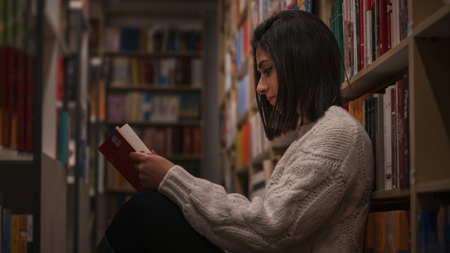 masoud mostafaei LcvPZlLhsDU unsplash