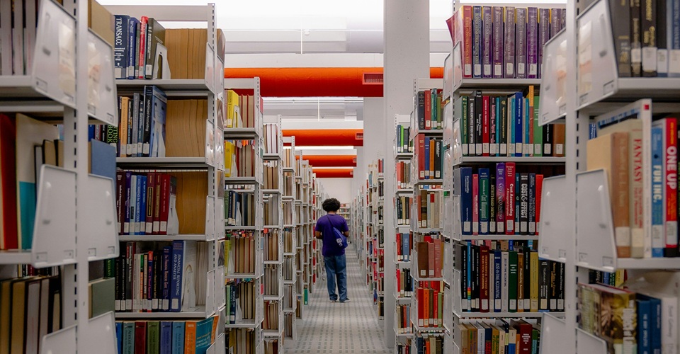 matt benson cU FwJXrEFg unsplash